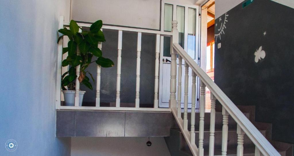 Kolina D'Sol Bed & Breakfast Ponta Do Sol Luaran gambar